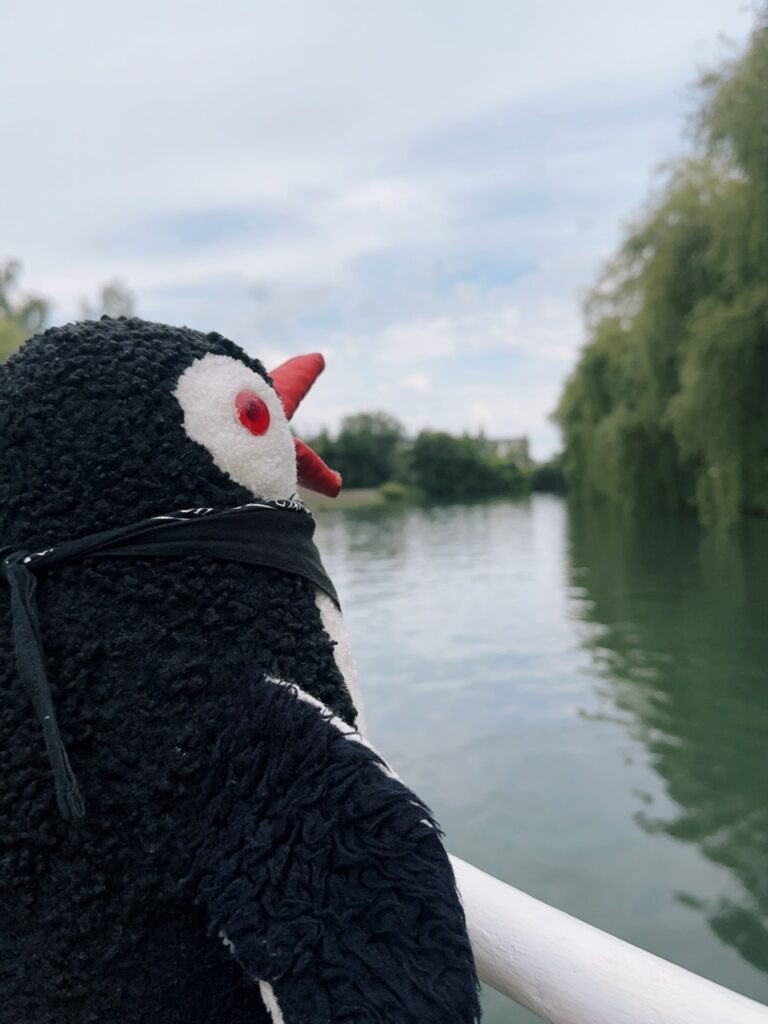 Ljubljana boat ride slovenia Marshes