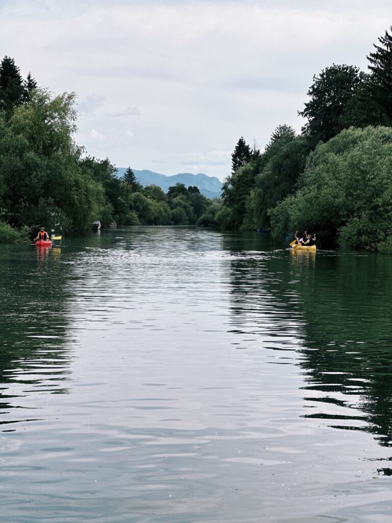 Ljubljana boat ride slovenia Marshes