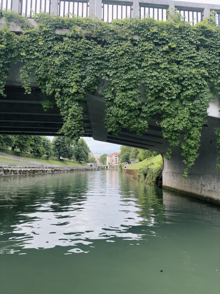 Ljubljana boat ride slovenia Marshes