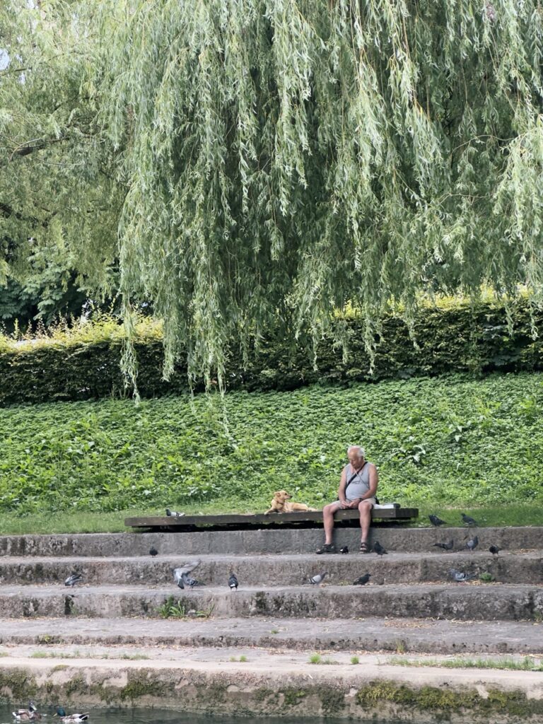 Ljubljana boat ride slovenia Marshes