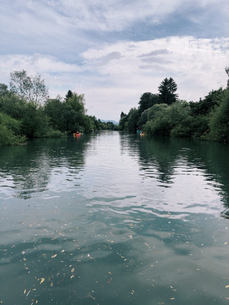 Ljubljana boat ride slovenia Marshes