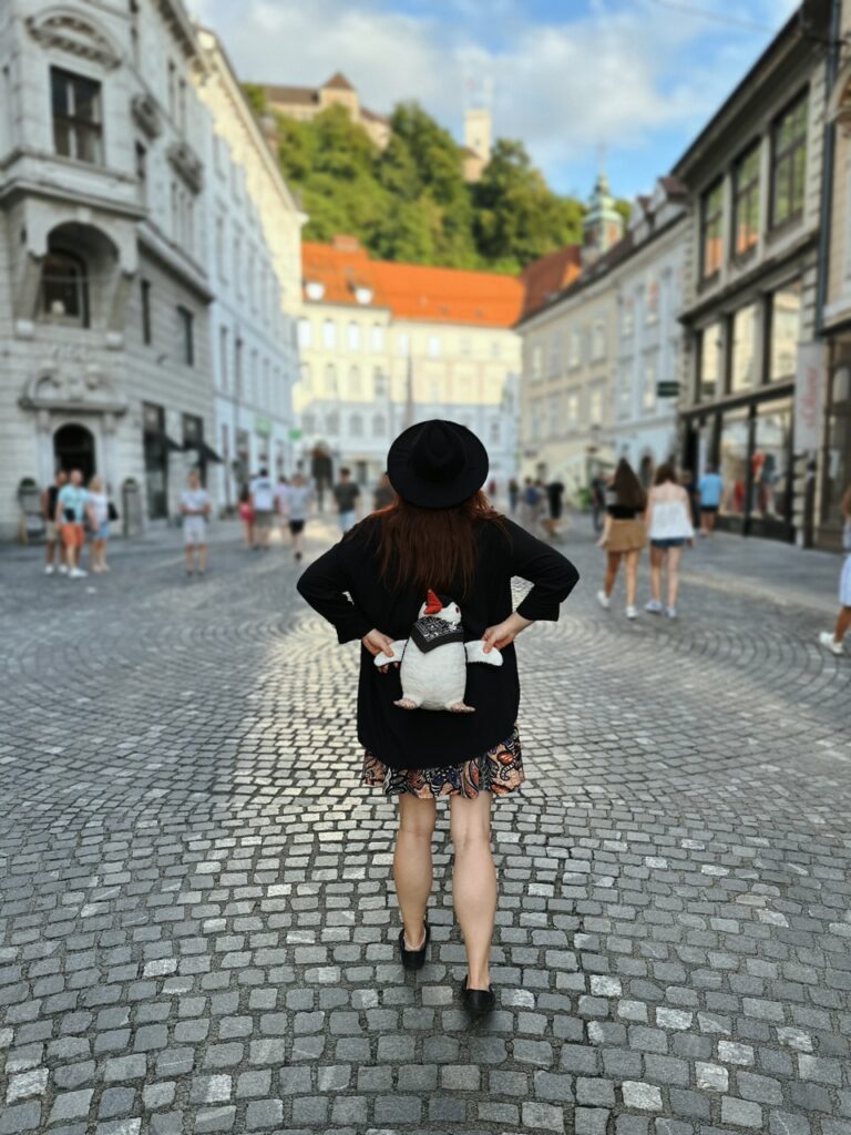 Ljubljana Castle slovenia