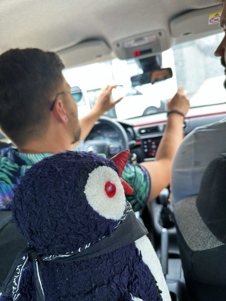 Madeira car rental