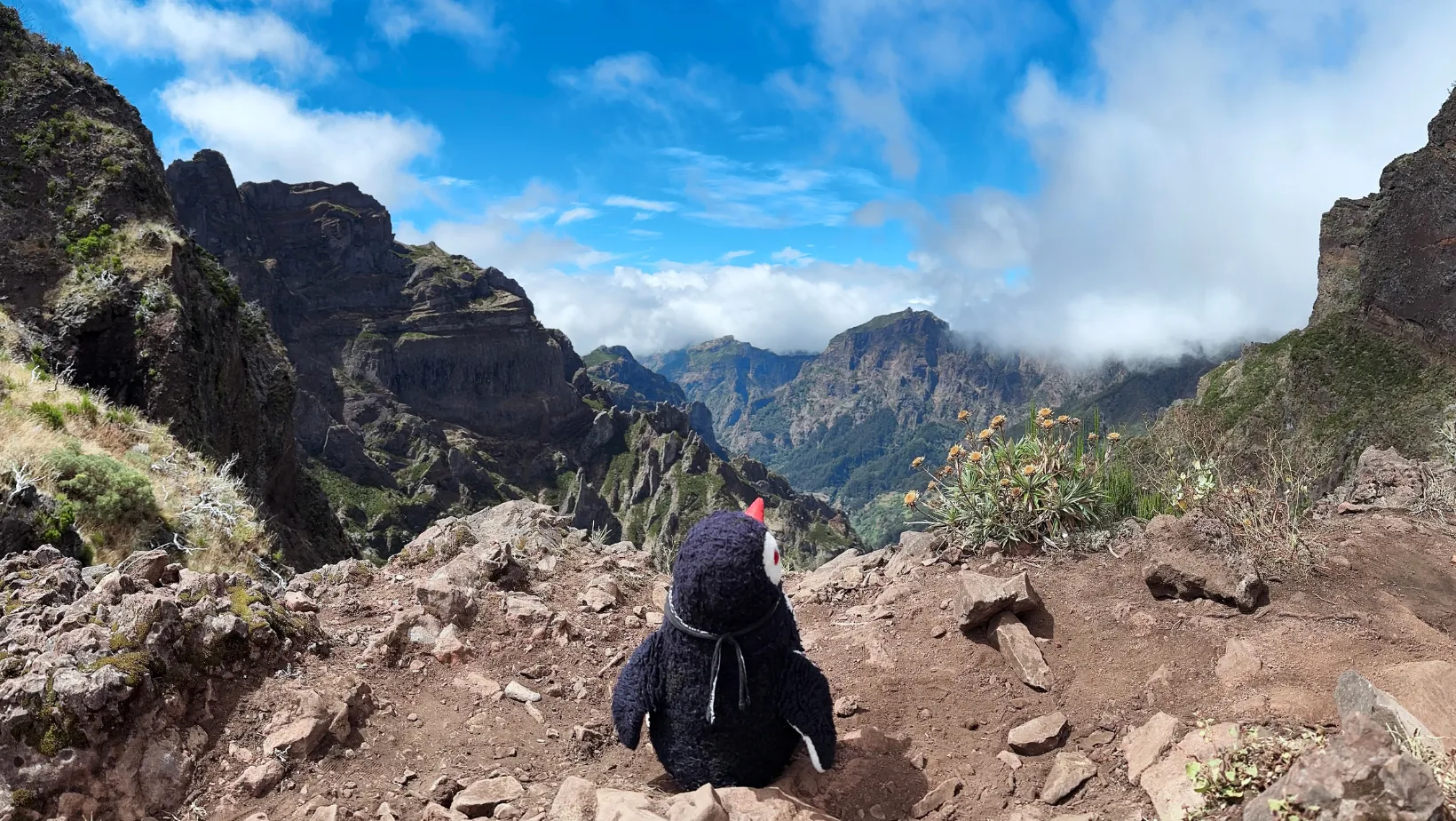 Madeira costs