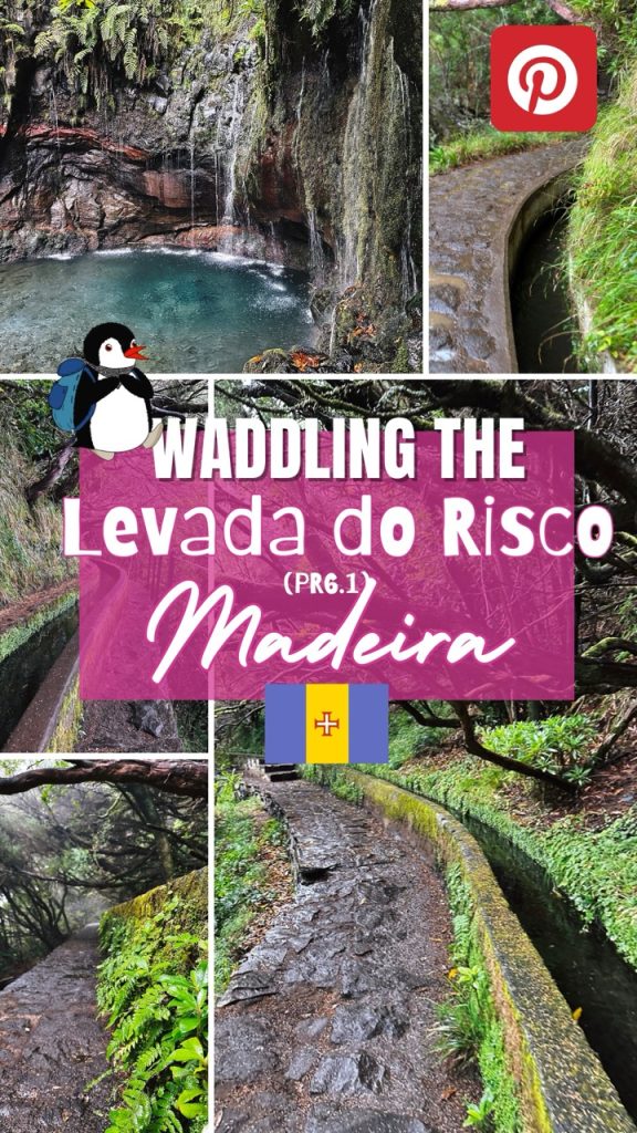 Madeira levada hike