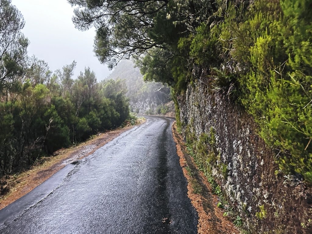 Madeira Levadas