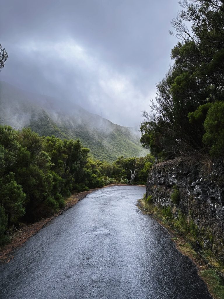 Madeira Levadas