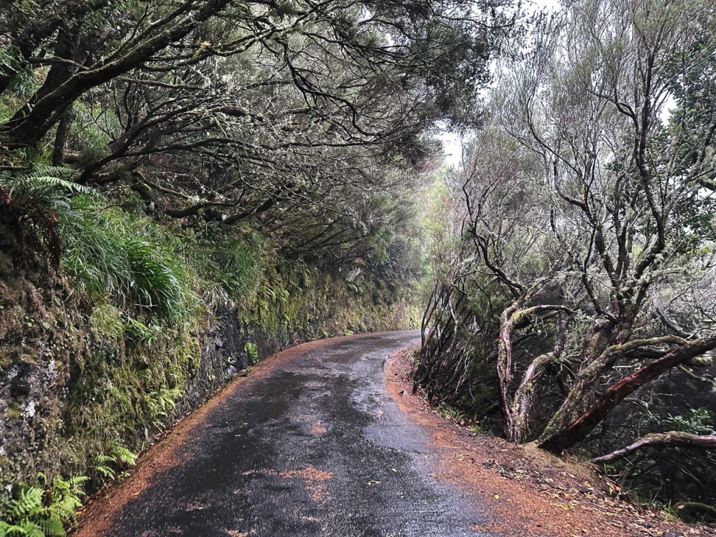 Madeira Levadas