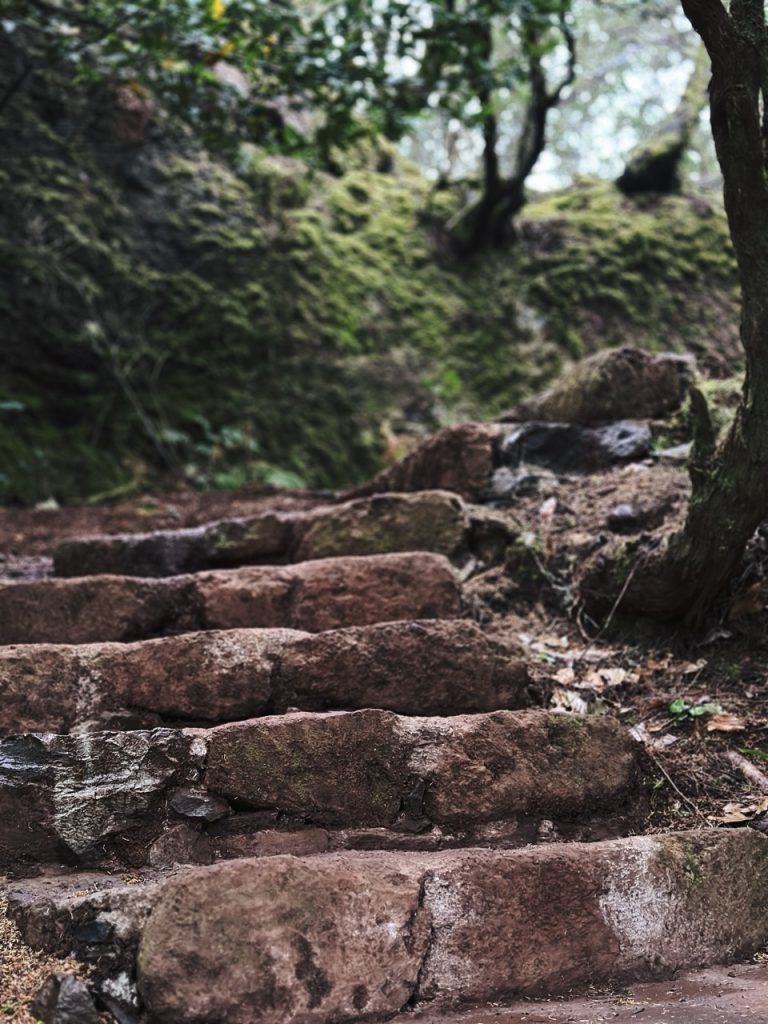 Madeira Levadas