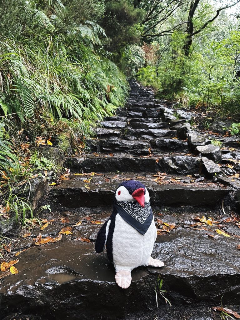 Madeira Levadas