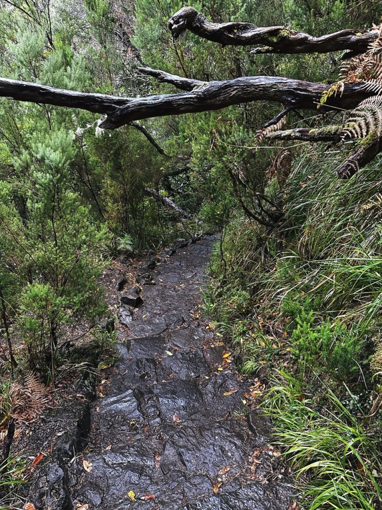 Madeira Levadas