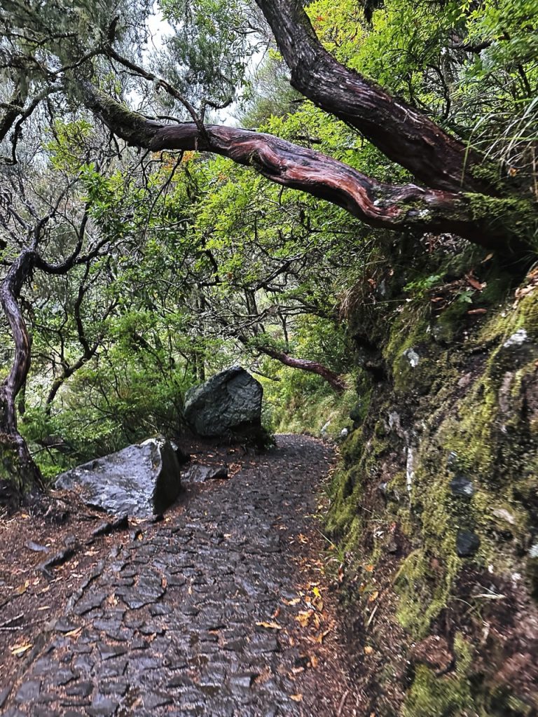 Madeira Levadas