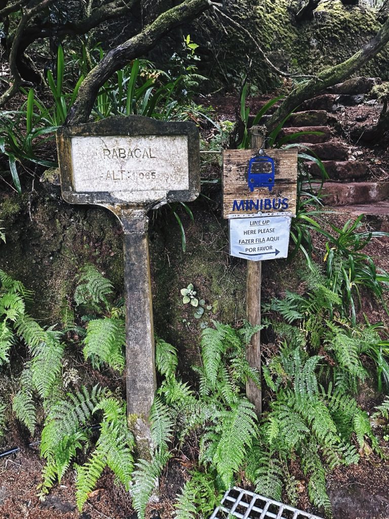 Madeira Levadas