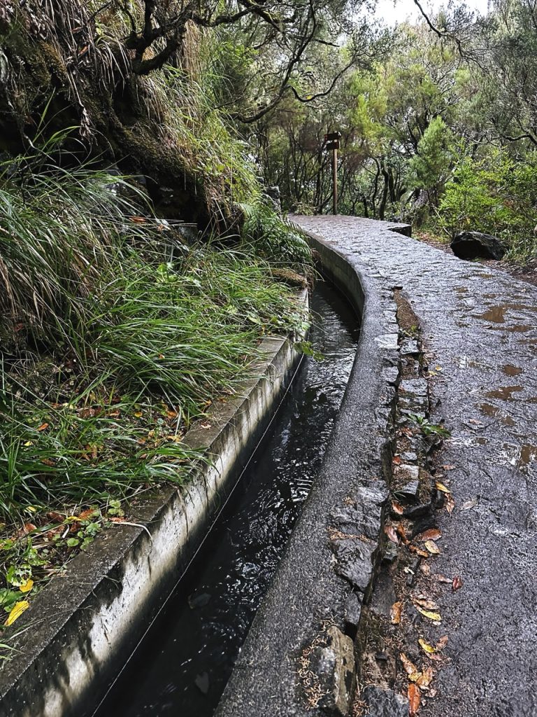 Madeira Levadas