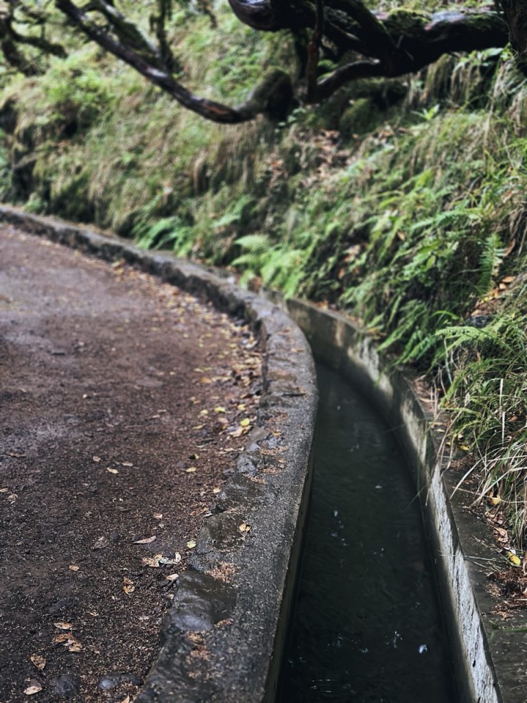 Madeira Levadas
