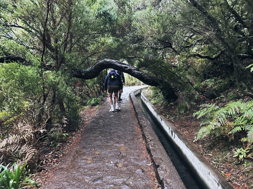 Madeira Levadas