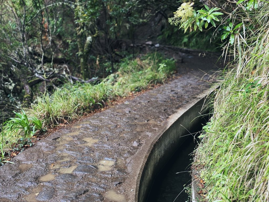 Madeira Levadas