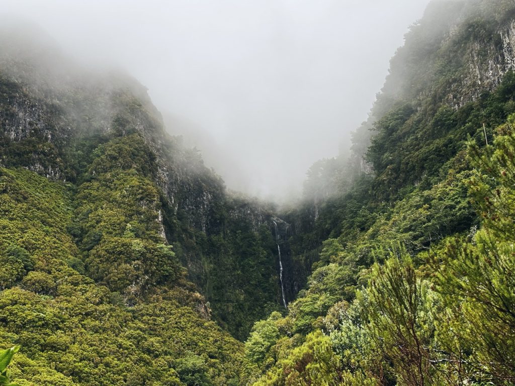 Madeira Levadas