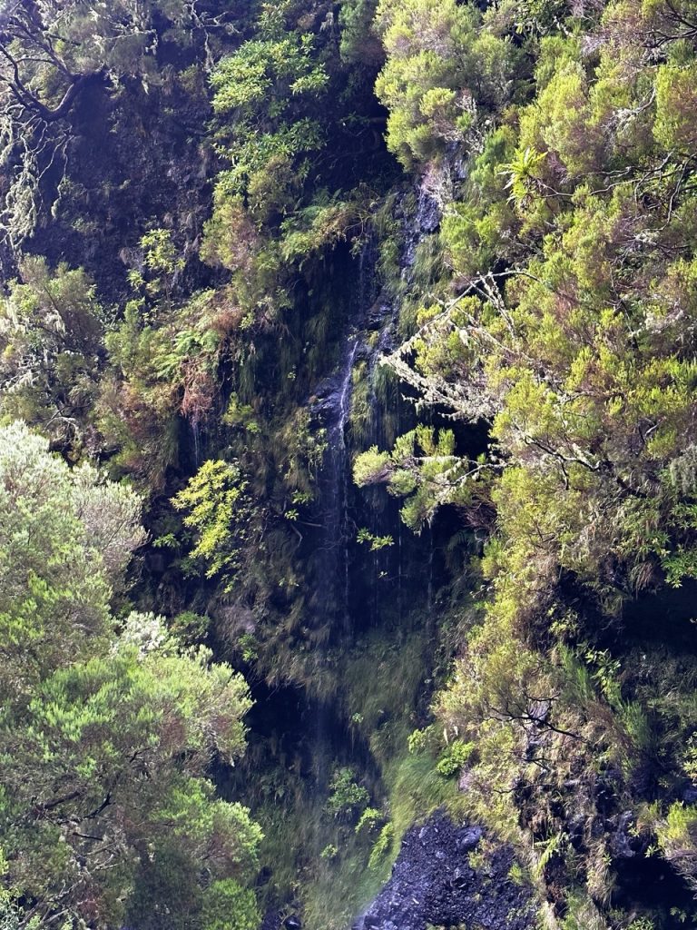 Madeira Levadas