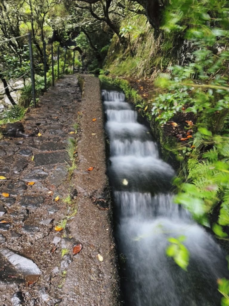 Madeira Levadas
