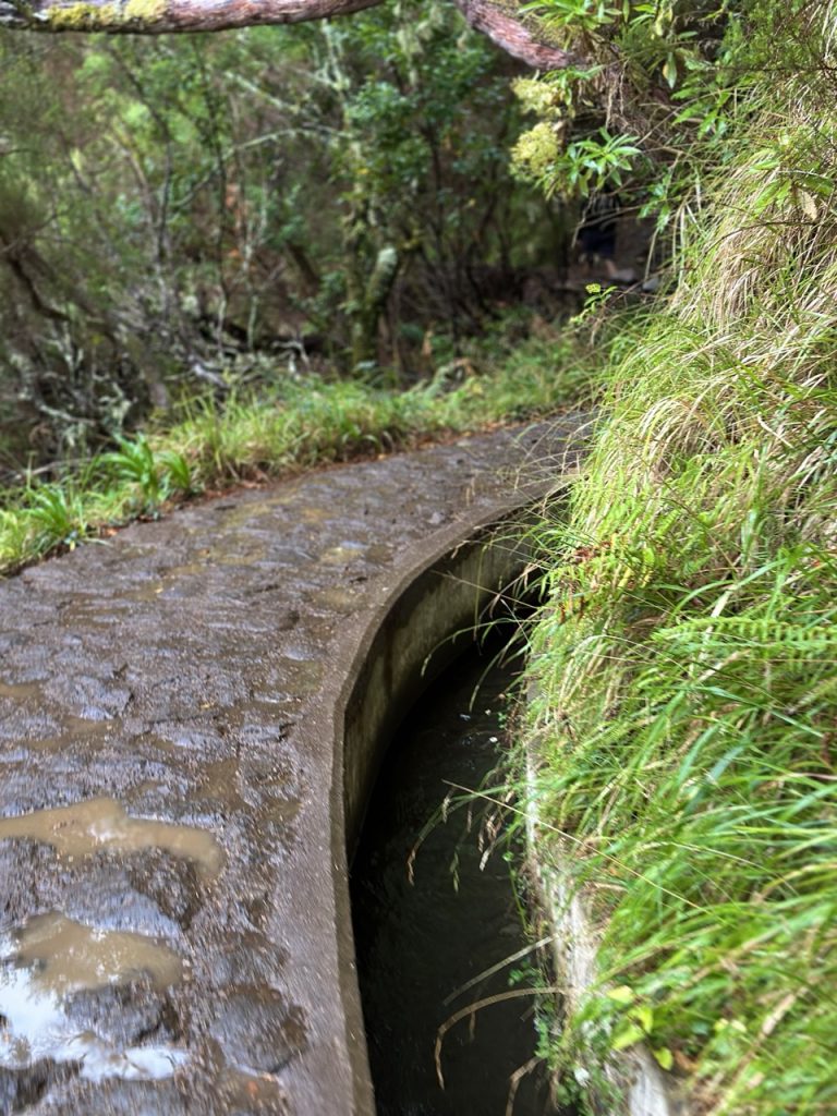 Madeira Levadas
