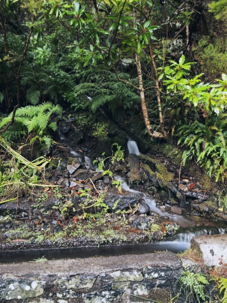 Madeira Levadas