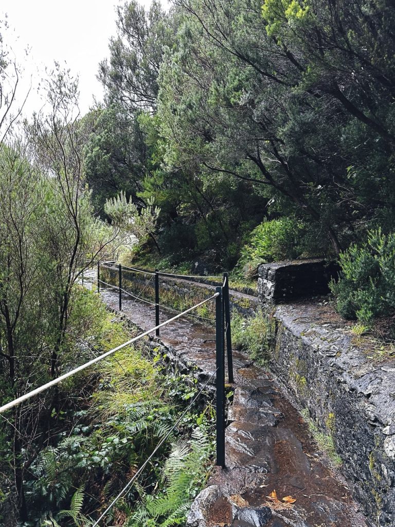 Madeira Levadas