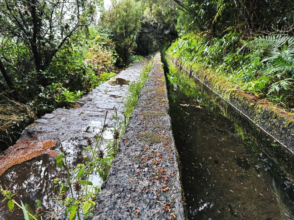 Madeira Levadas