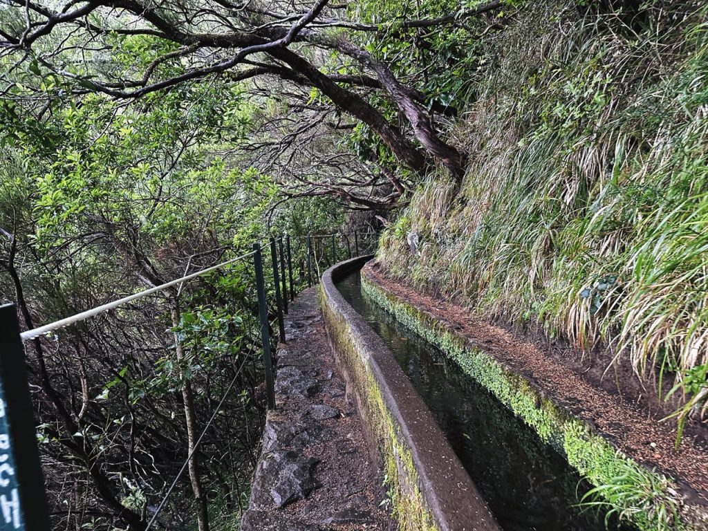Madeira Levadas
