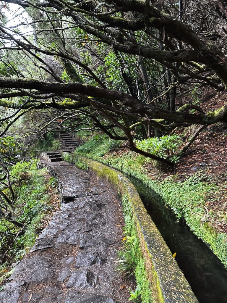 Madeira Levadas