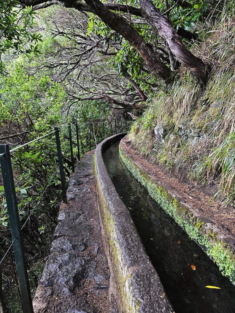 Madeira Levadas