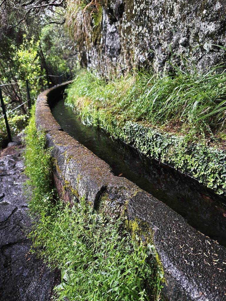 Madeira Levadas