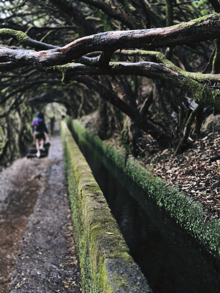 Madeira Levadas
