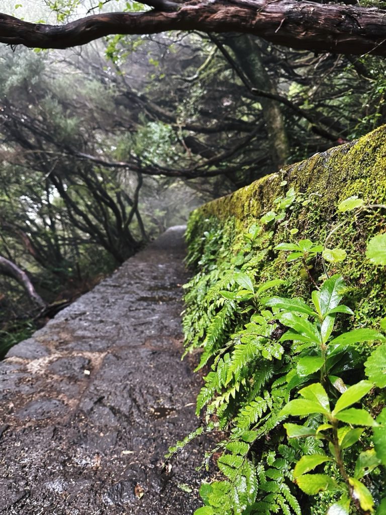Madeira Levadas