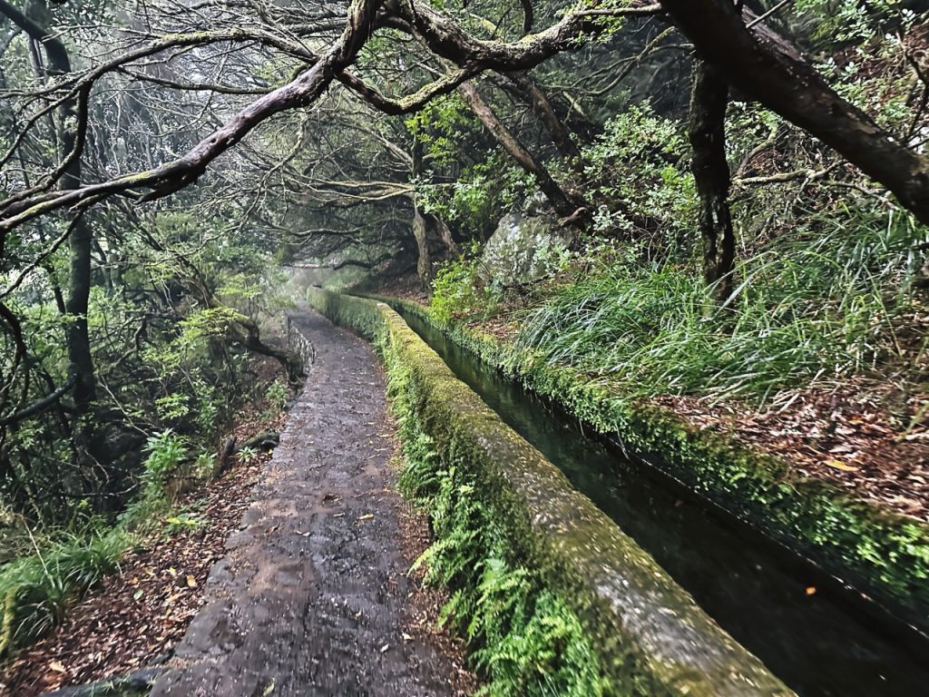 Madeira Levadas