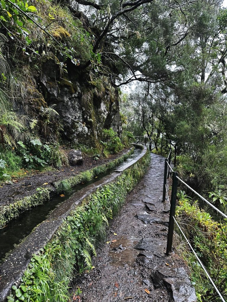 Madeira Levadas
