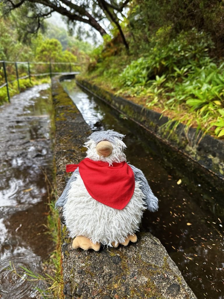 Madeira Levadas