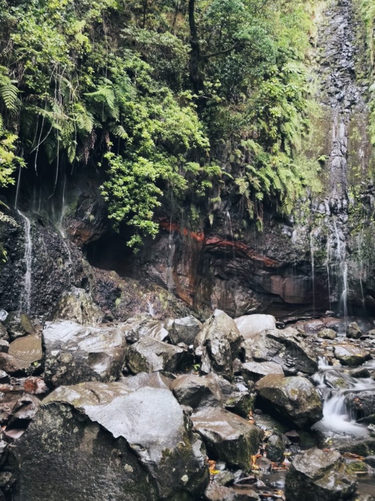 Madeira Levadas