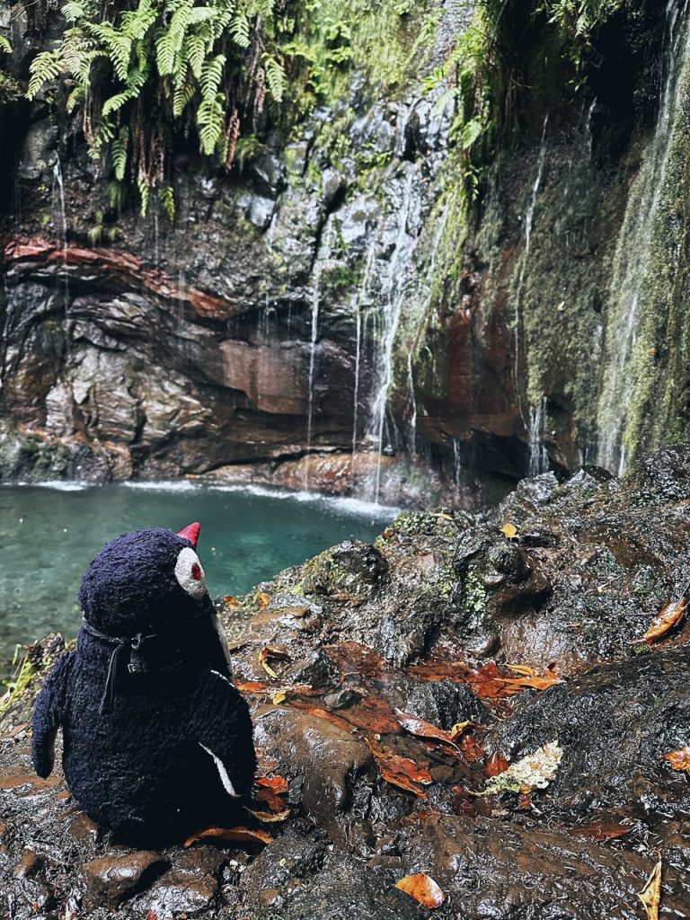 Madeira Levadas