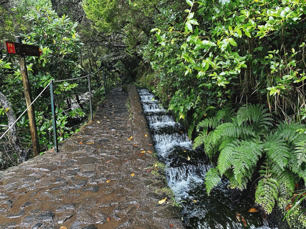 Madeira Levadas