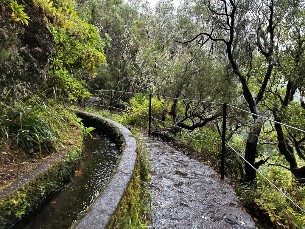 Madeira Levadas