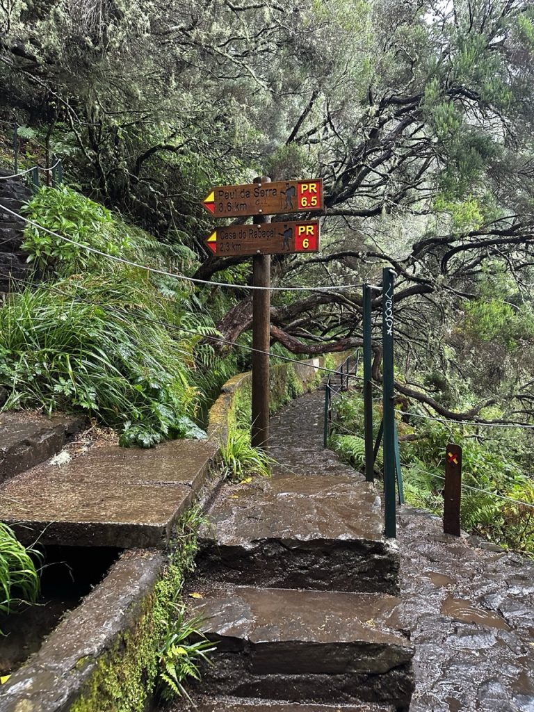 Madeira Levadas