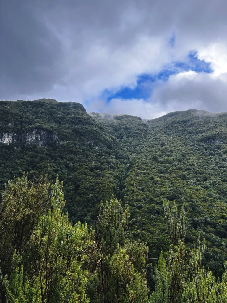 Madeira Levadas