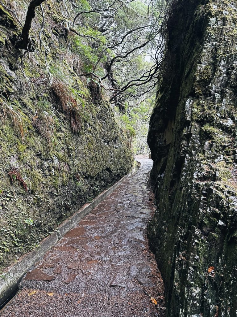 Madeira Levadas