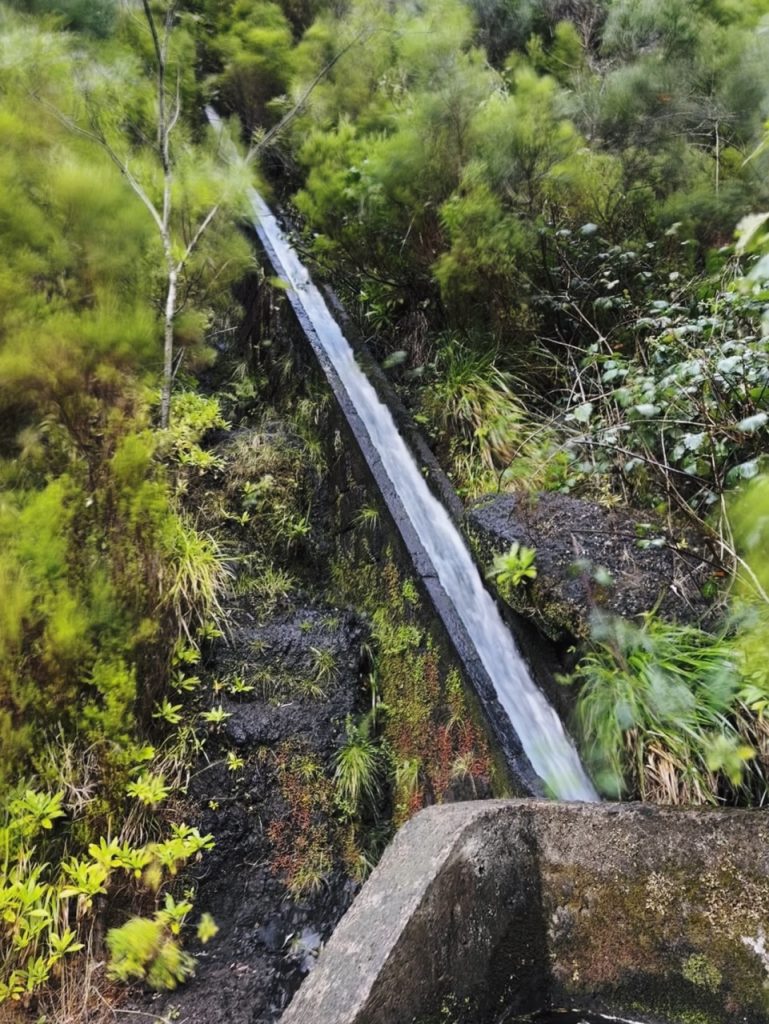 Madeira Levadas