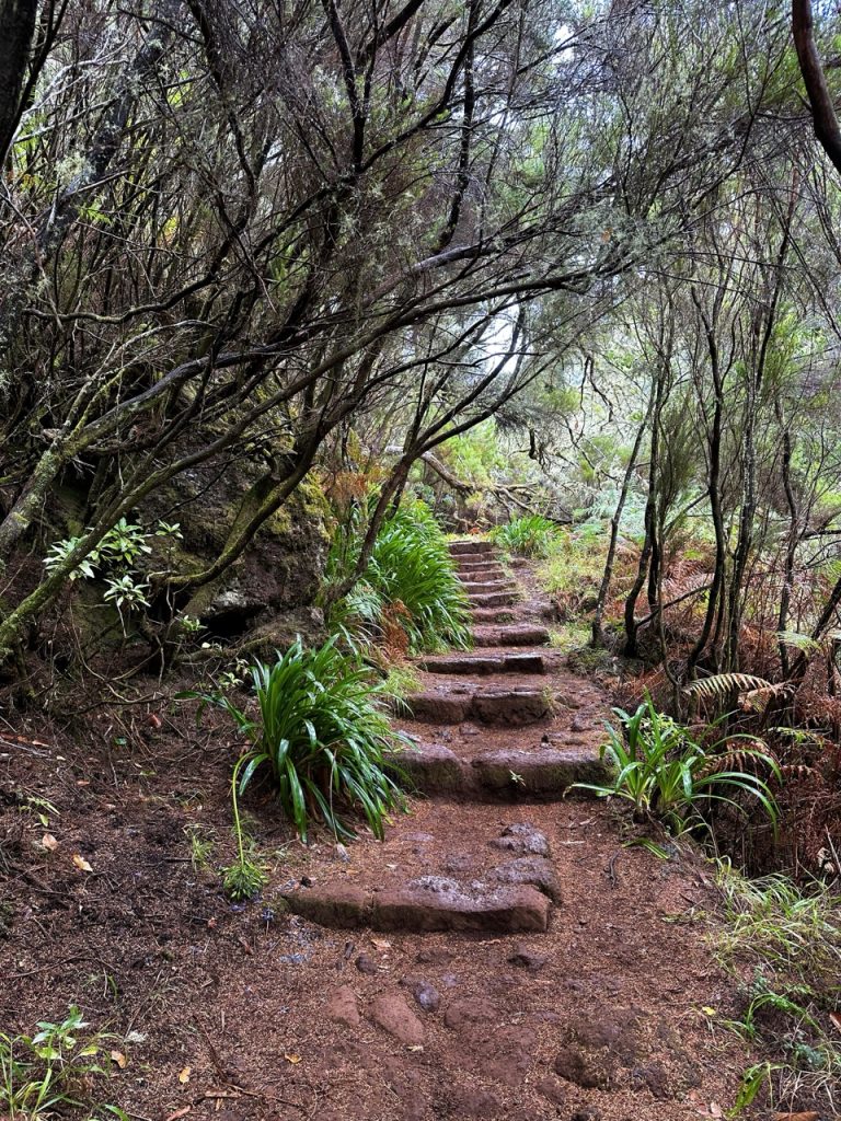 Madeira Levadas