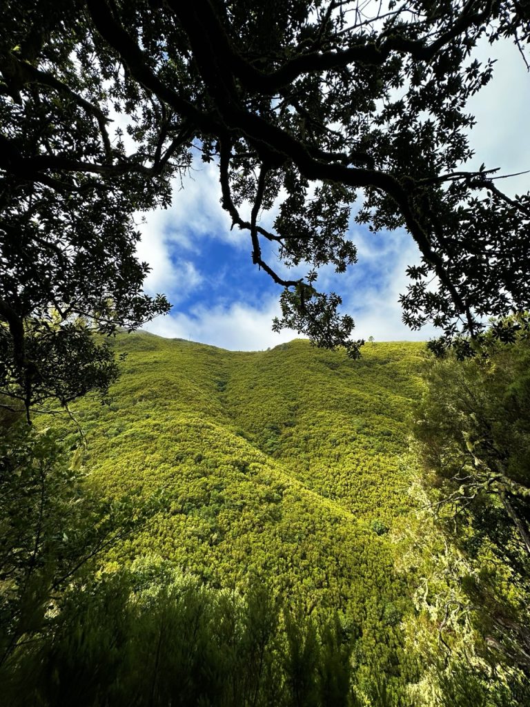 Madeira Levadas