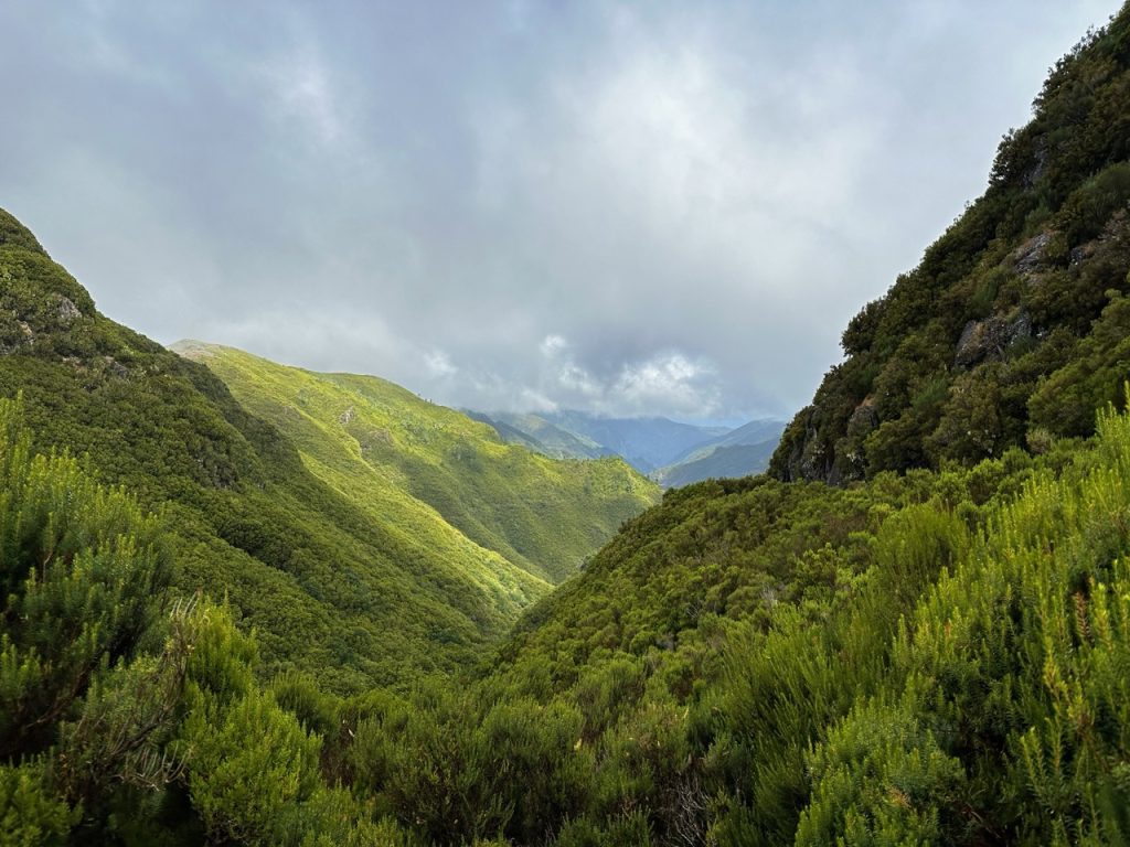 Madeira Levadas
