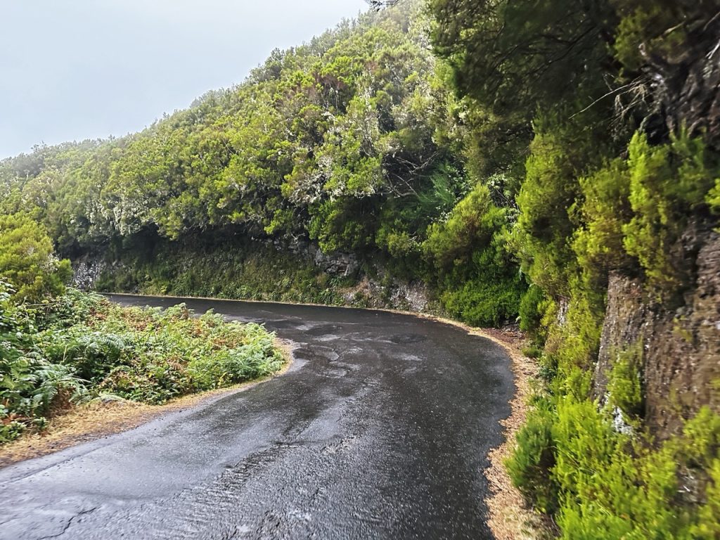 Madeira Levadas