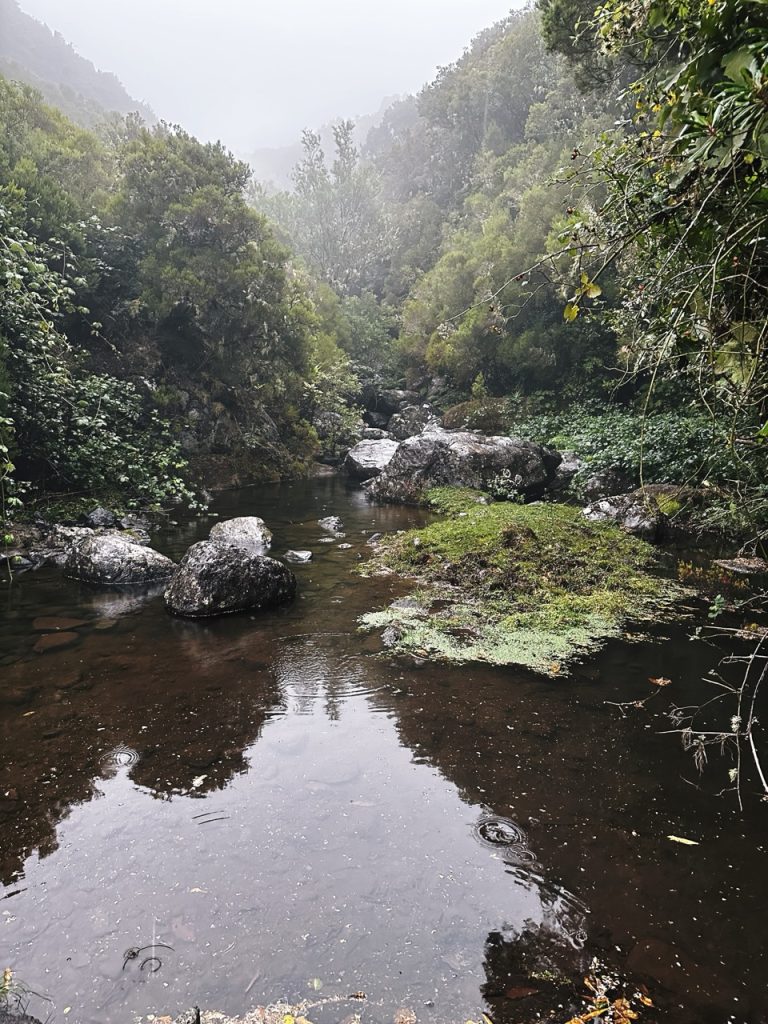 Madeira Levadas